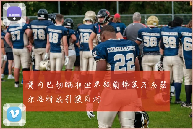 费内巴切瞄准世界级前锋莱万或瑟尔洛特成引援目标